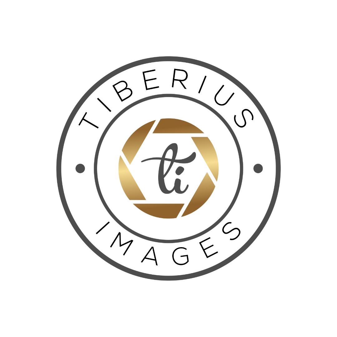 Tiberius Images LOGO business-circle.jpg