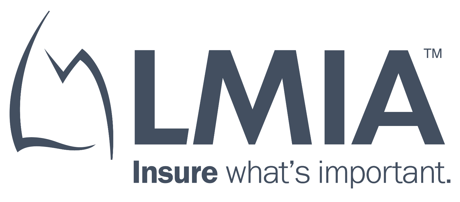 LMIA Horizontal LOGO.png